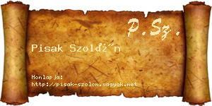 Pisak Szolón névjegykártya